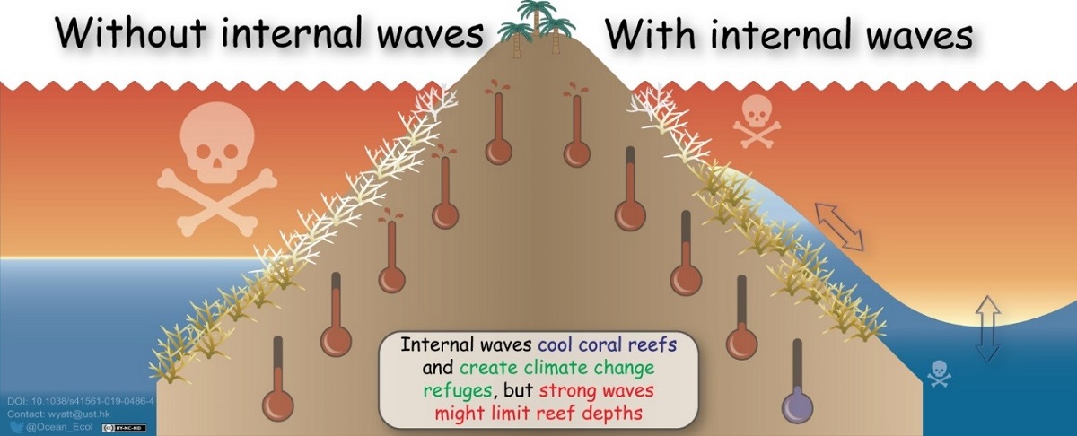 Infographic showing a reef without internal waves on the left side and a reef with internal waves on the right side.