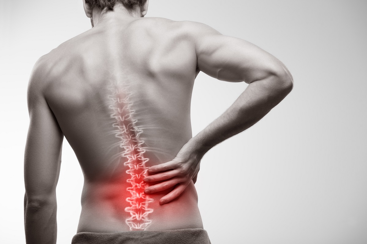 Facts That You Ought To Know About Lower Back Pain