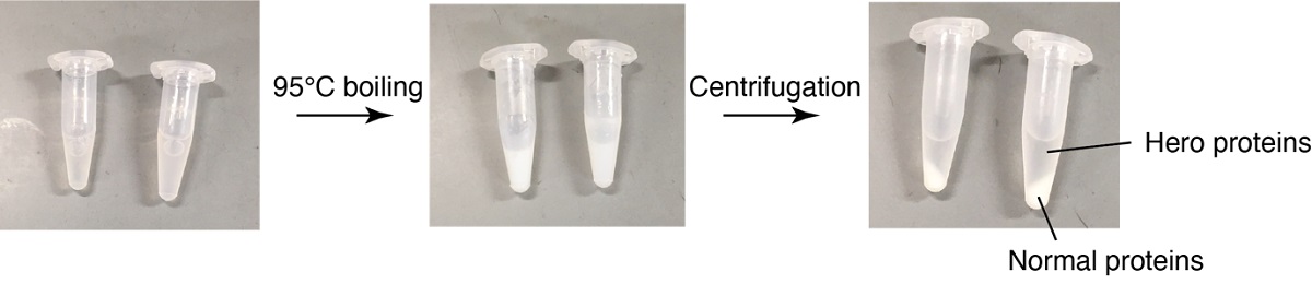 Three images each with two identical test tubes.