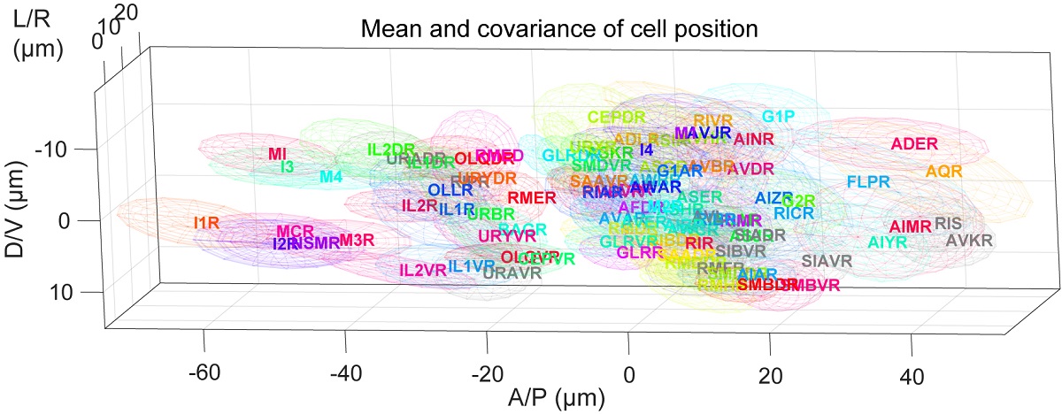 A map of colorful ellipses.