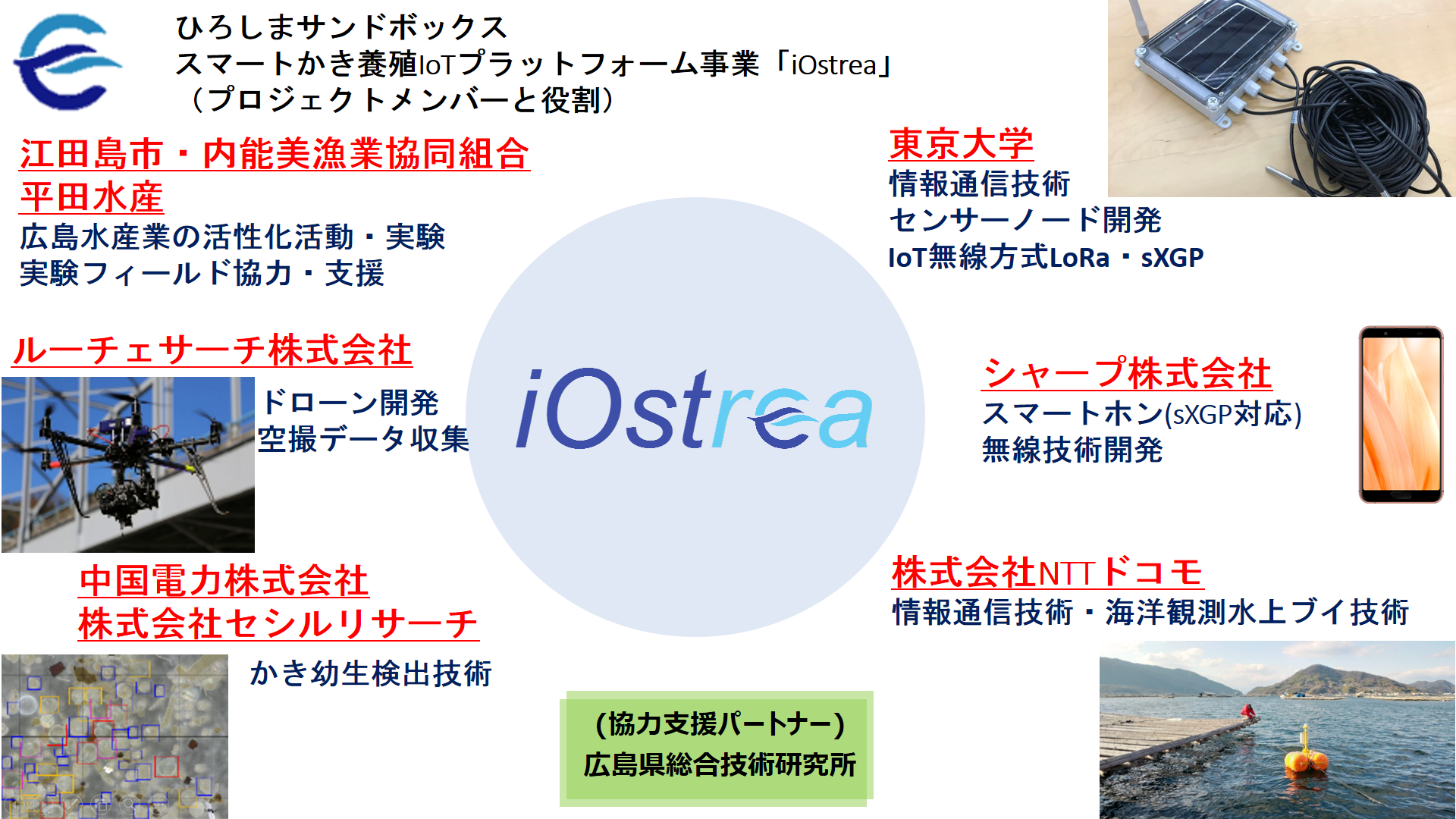 ひろしまサンドボックス　スマートかき養殖IoTプラットフォーム事業「iOstrea」　（プロジェクトメンバーと役割）