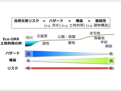 生態系を活用した防災減災（Eco-DRR）