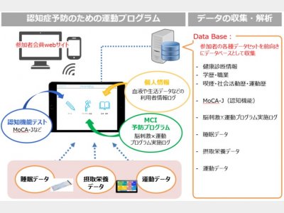 認知症予防のための運動プログラムと情報取得の仕組み