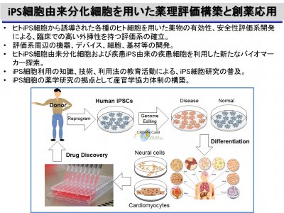 iPS細胞由来分化細胞を用いた薬理評価機構と創薬応用