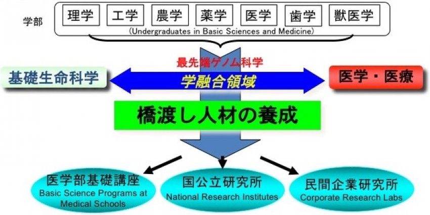 MGSPのミッションの概念図