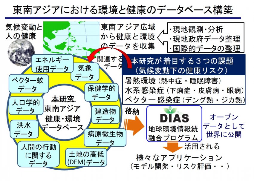 研究概要