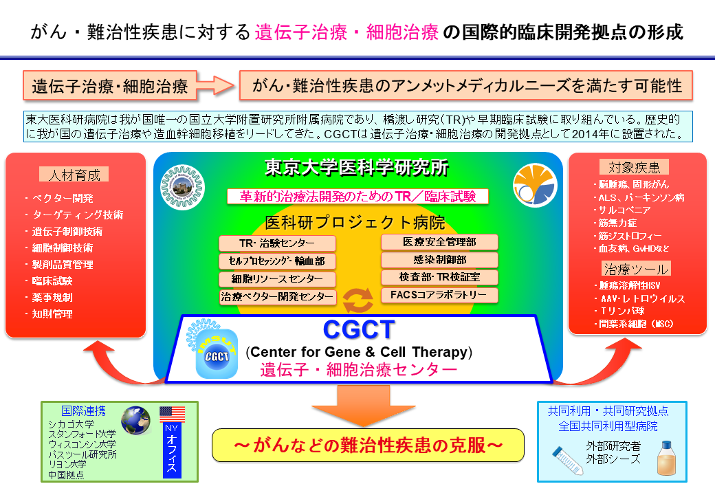 がん・難治性疾患に対する遺伝子治療・細胞治療の国際的臨床開発拠点の形成