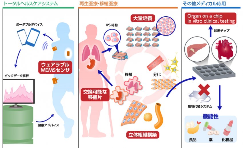 健康な生活を守るためのバイオと工学の融合研究