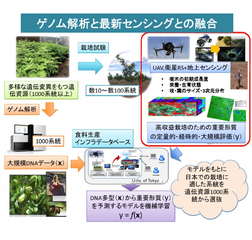 工学と農学の融合による革新的な食料生産技術の開発