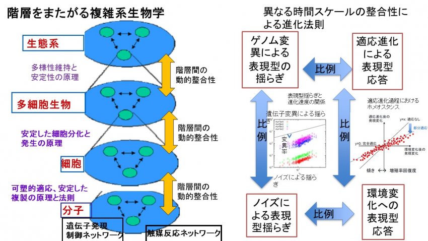 複雑系生命システム科学