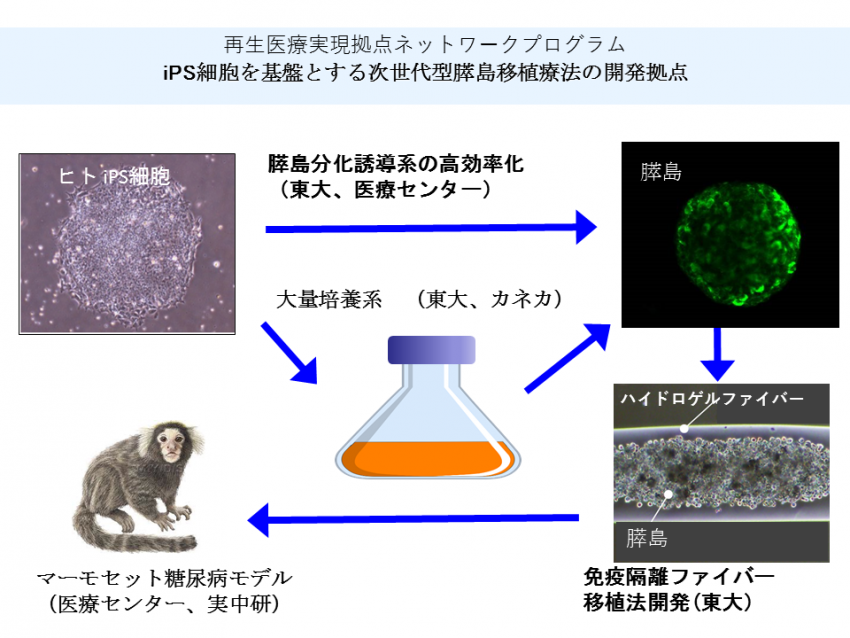 プロジェクト概要