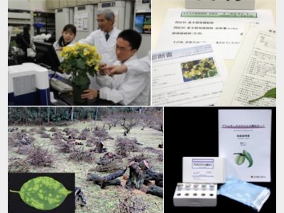 Establishment of Plant Clinic and Implementation