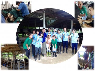 Training at livestock farms in Thailand