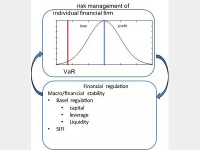 Risk management of financial corporations