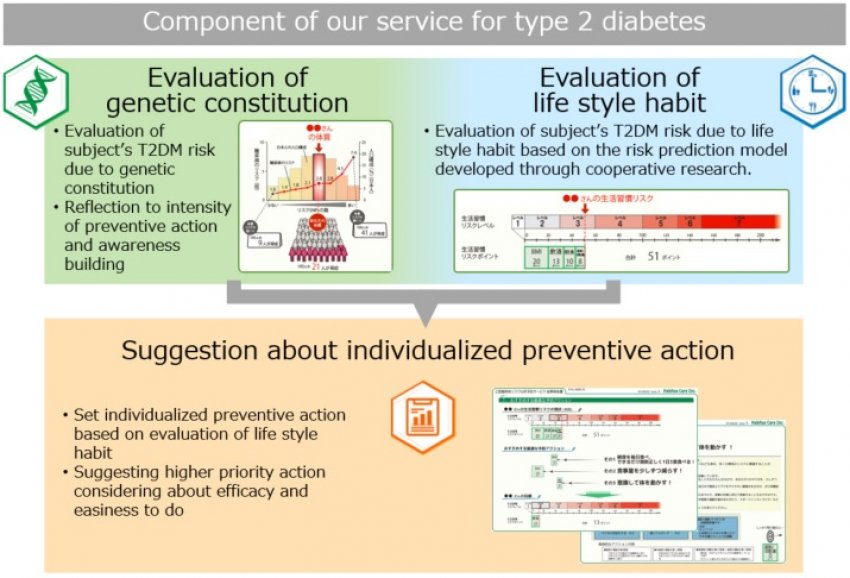 The risk analysis and precaution service for type 2 diabetes