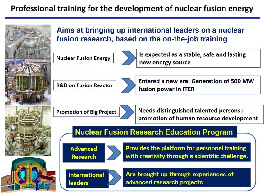 Professional training for the development of nuclear fusion energy