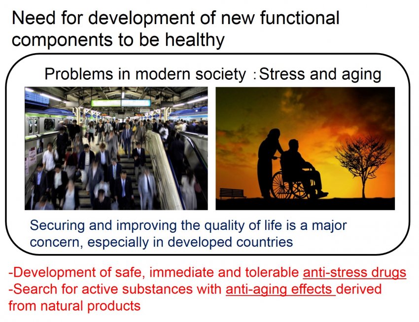 Need for development of new functional components to be healthy