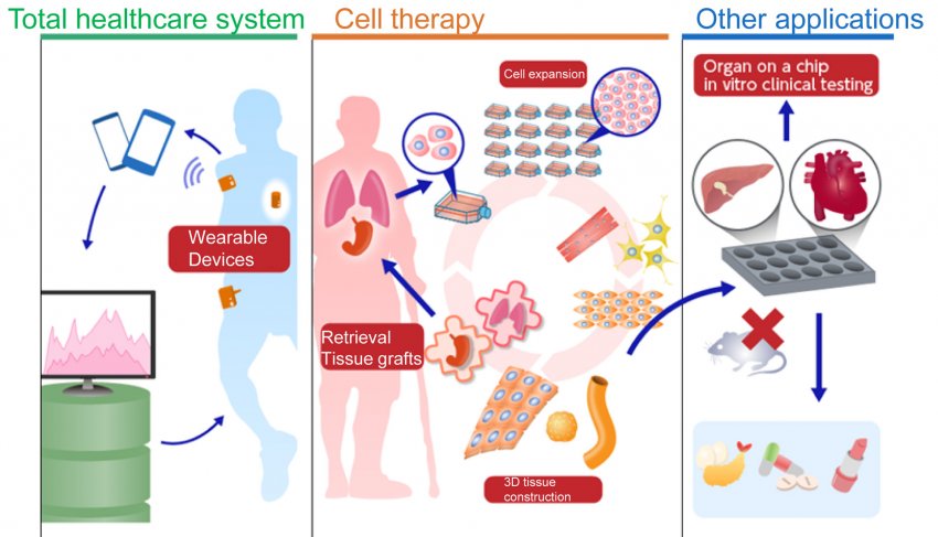 Interdisciplinary Research between Bio and Engineering to Sustain Healthy Life