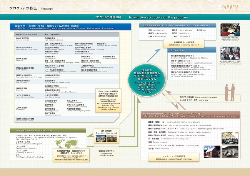 Promotive Structure of the Program