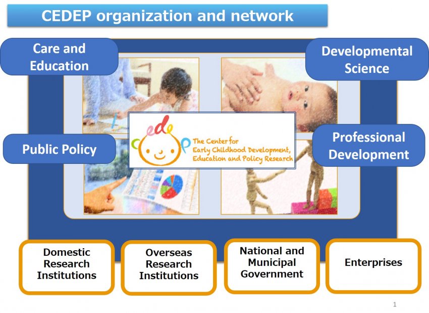 CEDEP organization and network