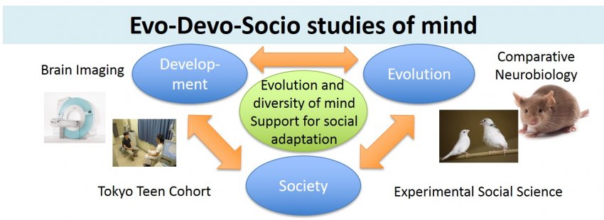 Evo-Devo-Socio Approach to the Mind