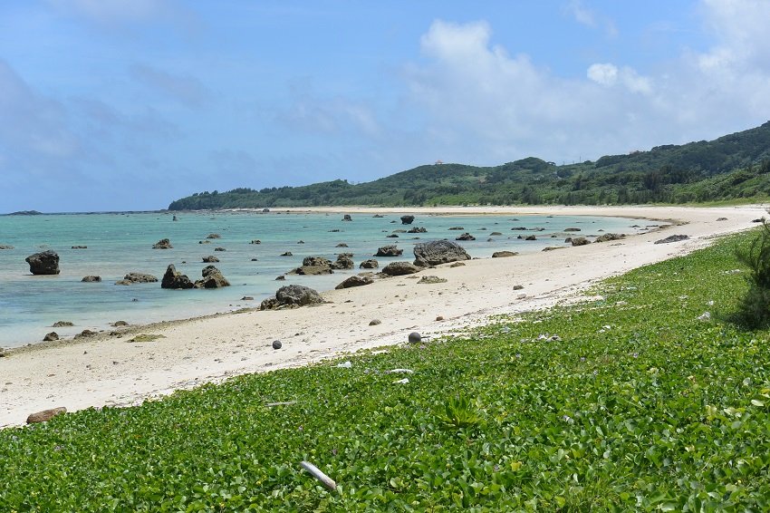 Massive coral boulders deposited by past large tsunamis at Ishigaki Island, Japan