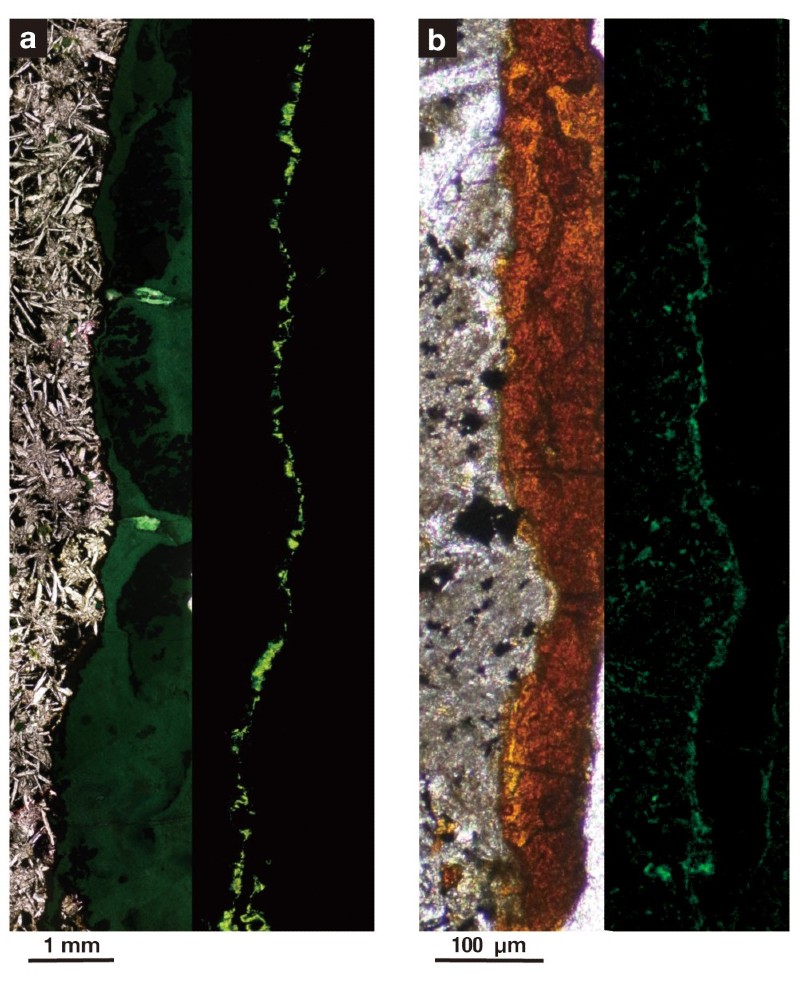 Microscope images of rock collected from 122 meters beneath seafloor