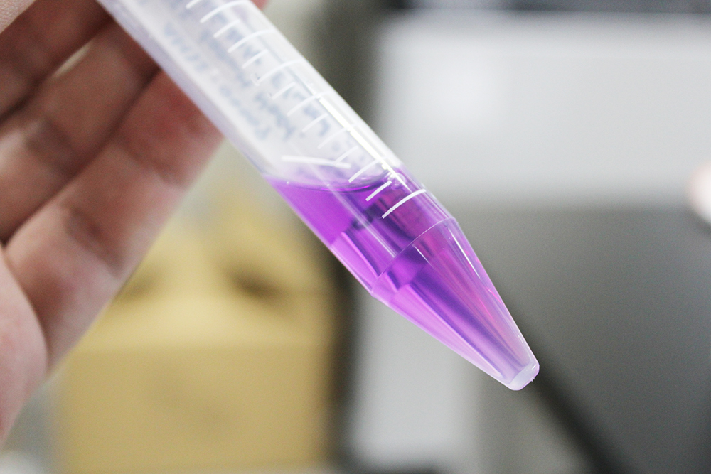 Purple liquid in a clear plastic test tube
