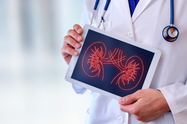 A person in a white medical coat holds a tablet showing an illustration of two human kidneys.