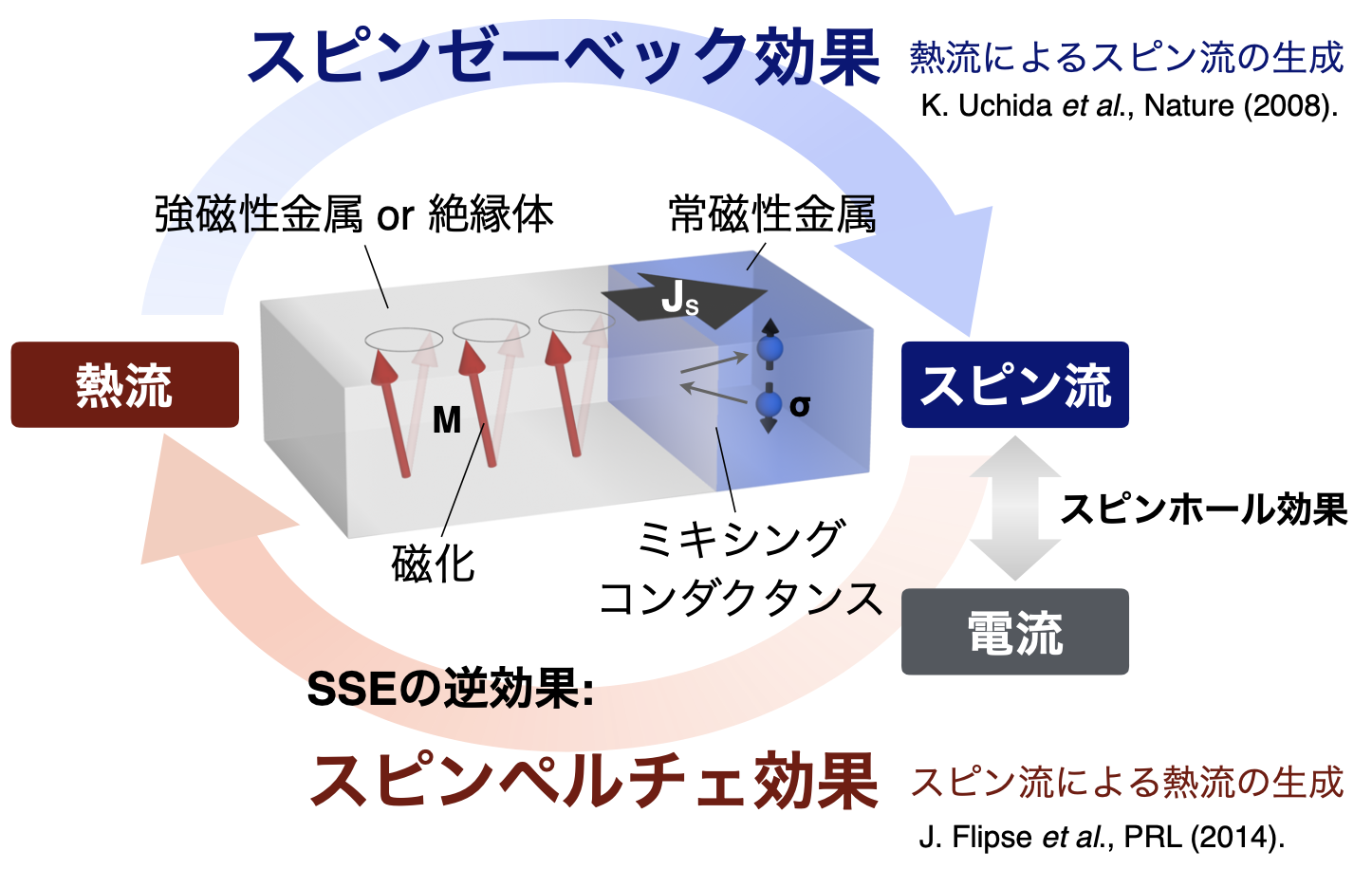 スピン流熱電素子