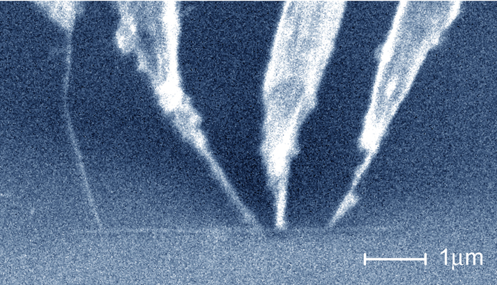 ナノメートルスケールでの電気伝導計測を可能とするマルチナノプローブの電子顕微鏡写真