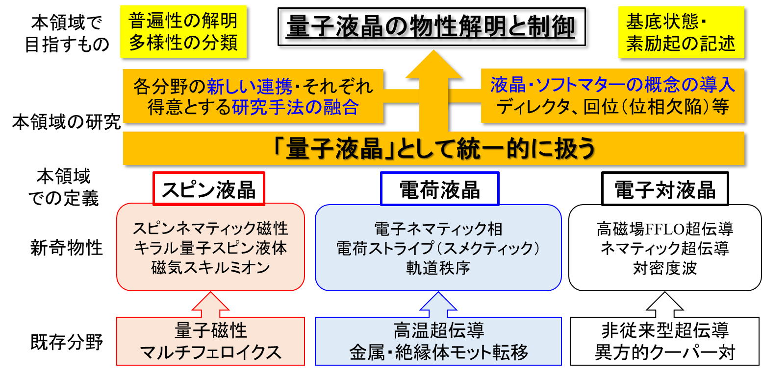 様々な物質群で現れる「量子液晶」の統一的理解へ