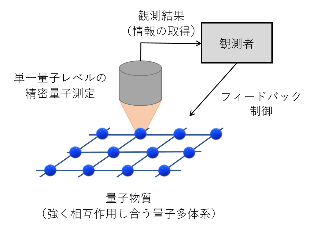 測定およびフィードバック制御される量子物質は、非平衡量子開放系として記述される。