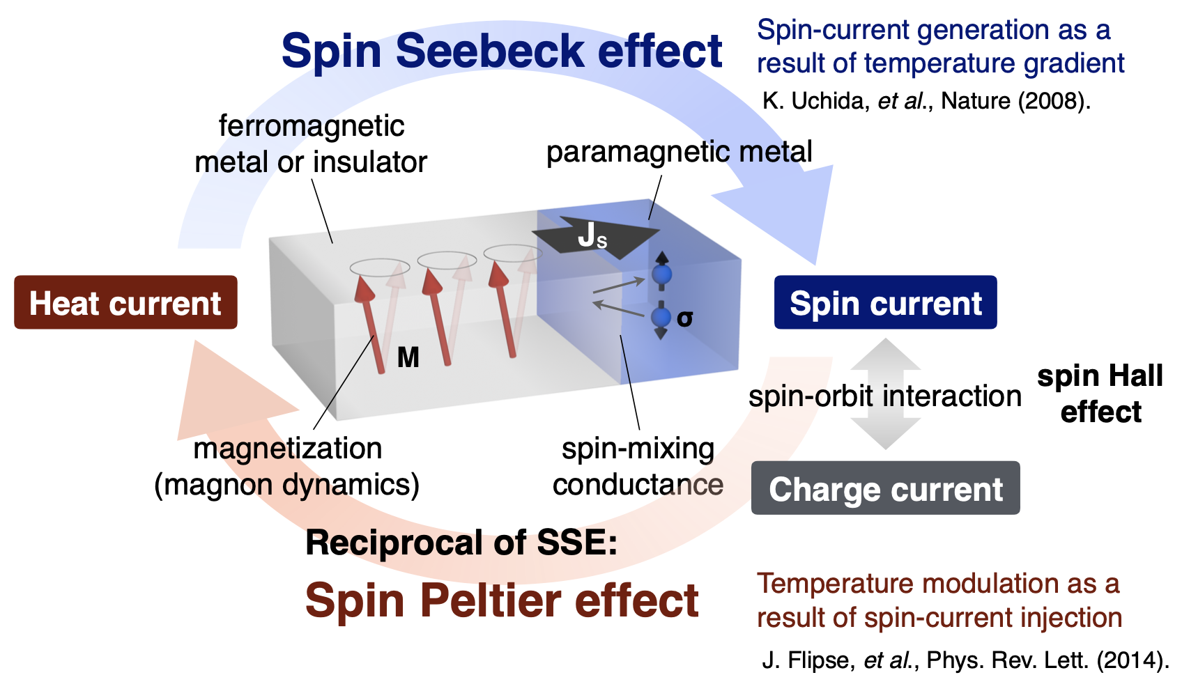 Spin-heat conversion device