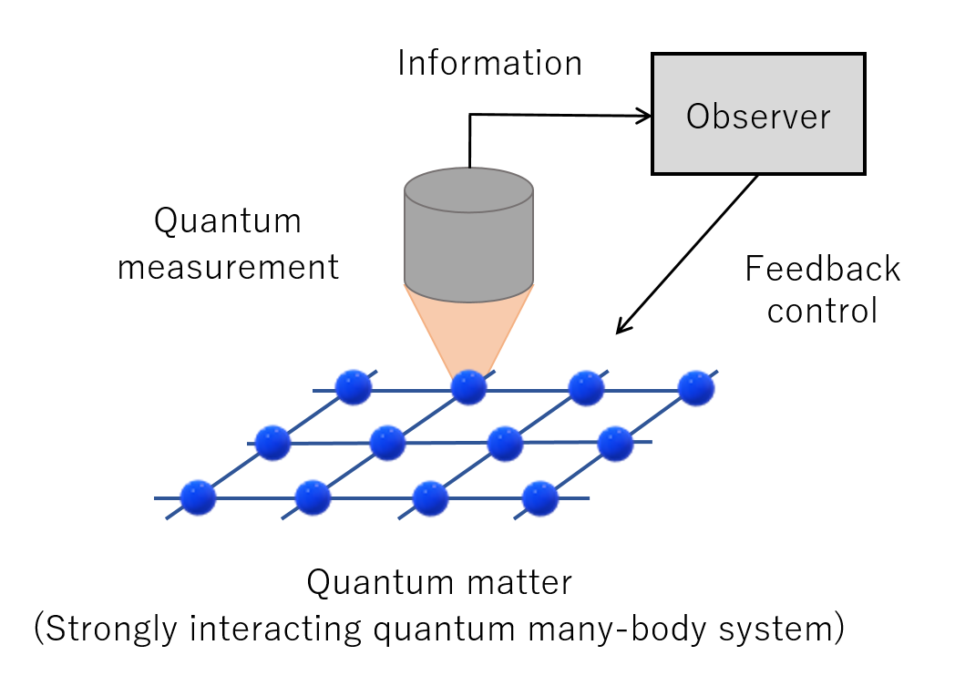 Quantum systems subject to measurement and feedback are described as nonequilibrium open quantum systems.