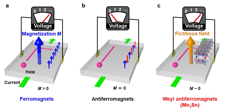 Fig.1 Schematic figures showing anomalous Hall effect (AHE) in (a) ferromagnets, (b) antiferromagnets, and (c) Weyl antiferromagnets. Generally, anomalous Hall effects scale with magnetization. Ferromagnets exhibit the large AHE (a). Antiferromagnets generally do not exhibit significant AHE since they have almost no magnetization (b). Weyl antiferromagnets exhibit a fictitious field induced large AHE, which is comparable to that observed in ferromagnets (c).