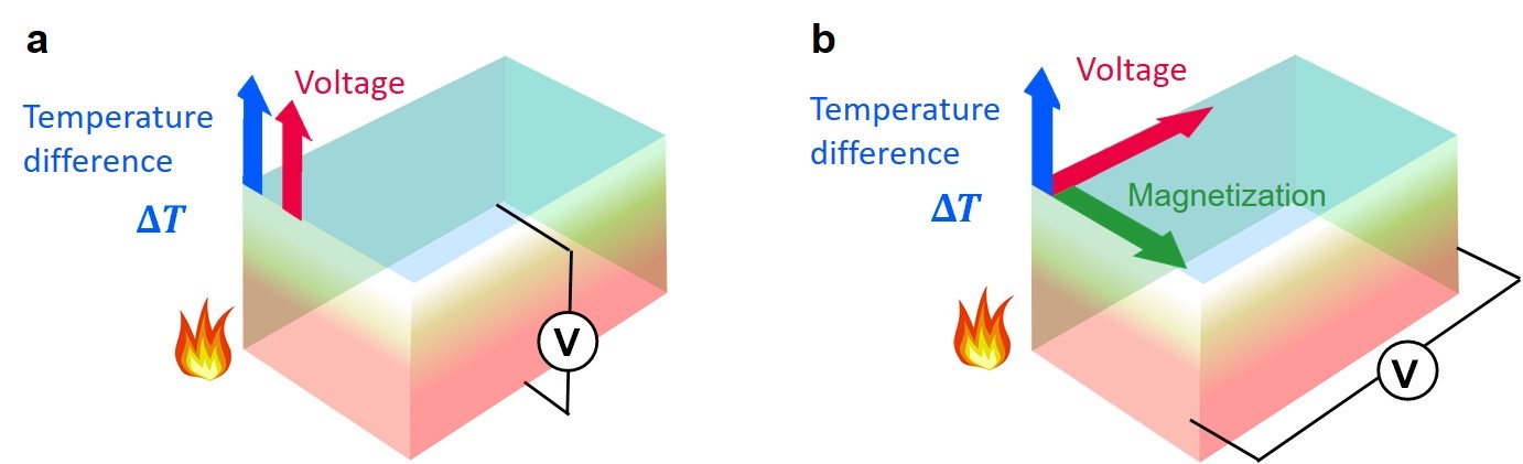 Seebeck effect (a) and Nernst effect (b) have longitudinal and the transverse geometries between the voltage and temperature difference, respectively.