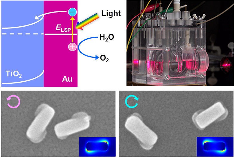 プラズモン誘起電荷分離（左上）による光触媒反応（右上）やキラルナノ構造作製（下）