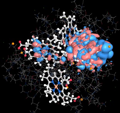 Molecular orbital of cytochrome<i>c</i><sub>3</sub>