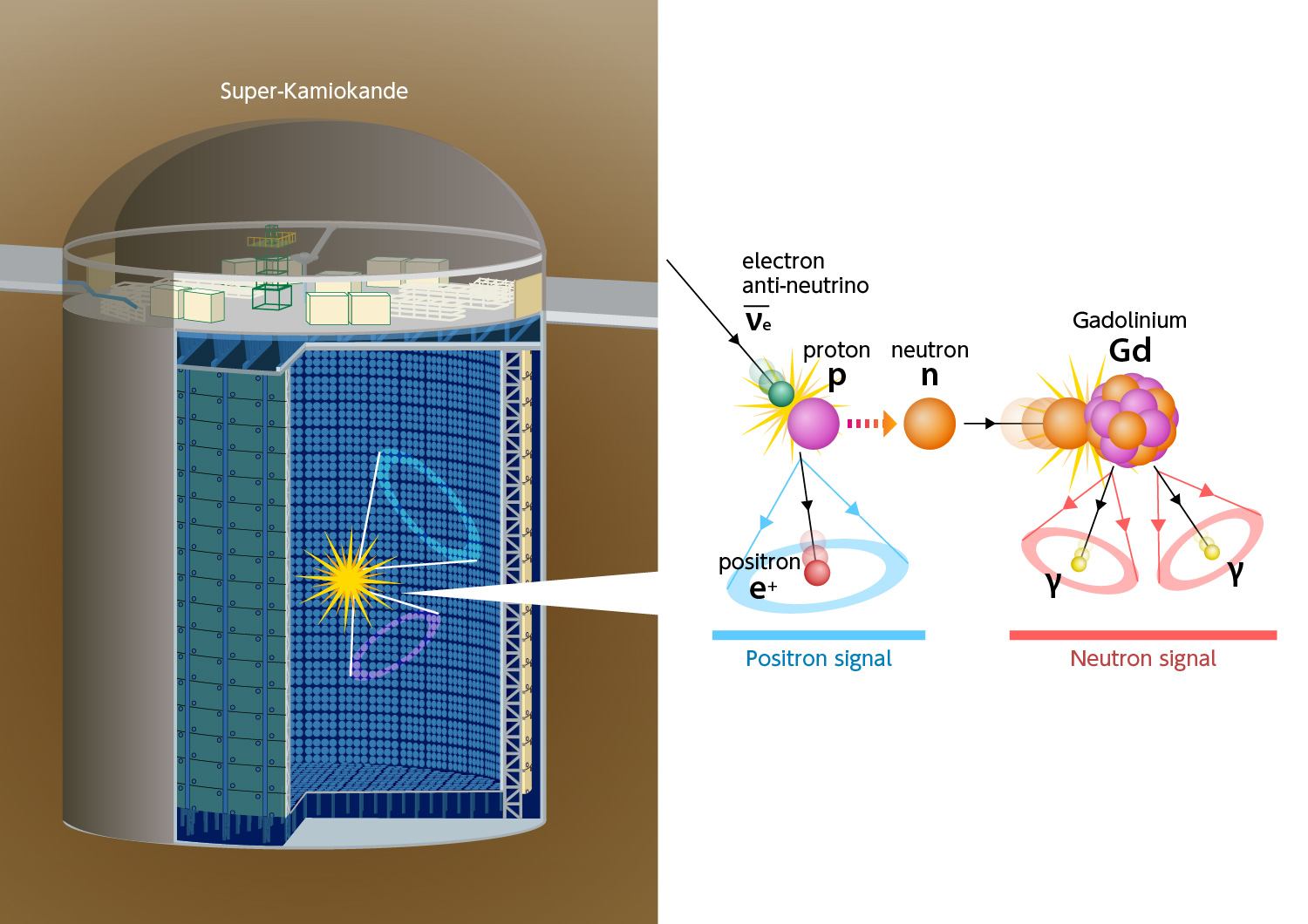 Diagram. Left is a large blue cylinder on a brown background. Right are an arrangement of balls representing subatomic particles.