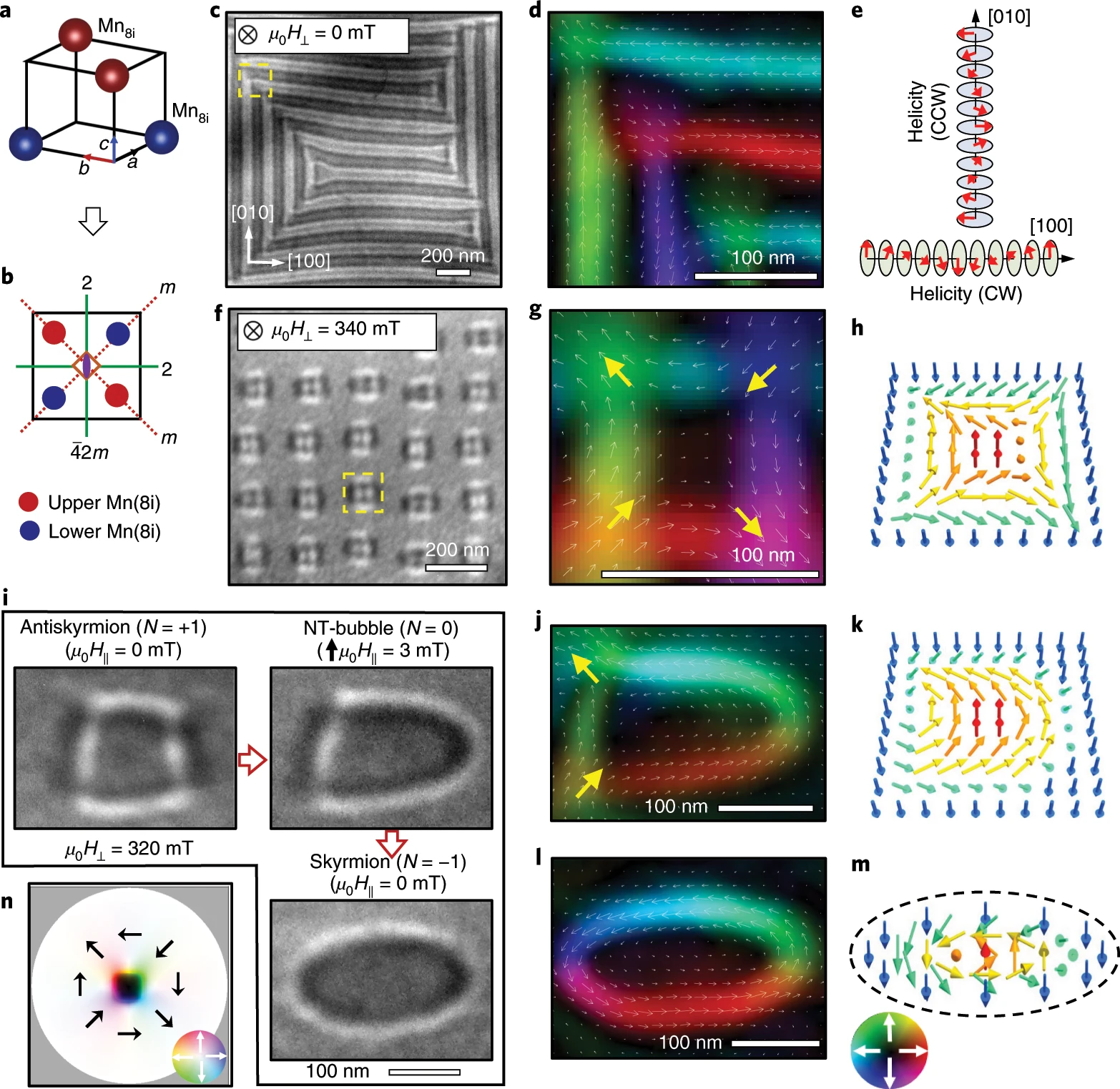 A grid of 16 images showing abstract shapes and figures. Five are grey - electron microscope images, and four are black with bright colored shapes - visualizations of magnetic fields.