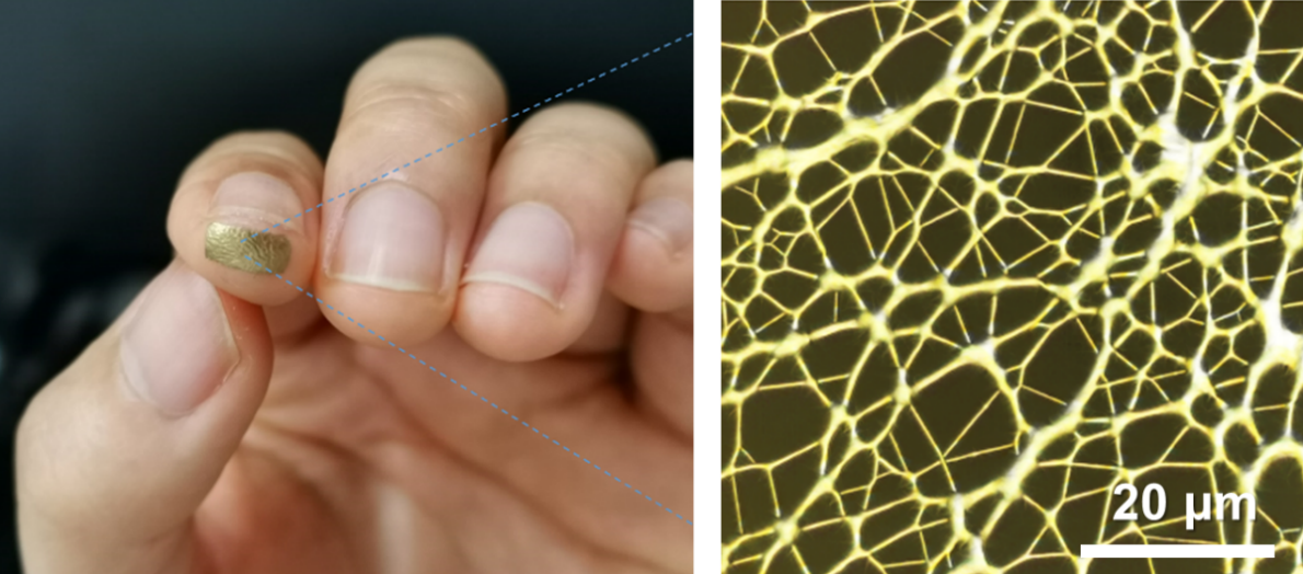 A small patch of gold on the end of a fingertip (left) a web of gold threads (right)