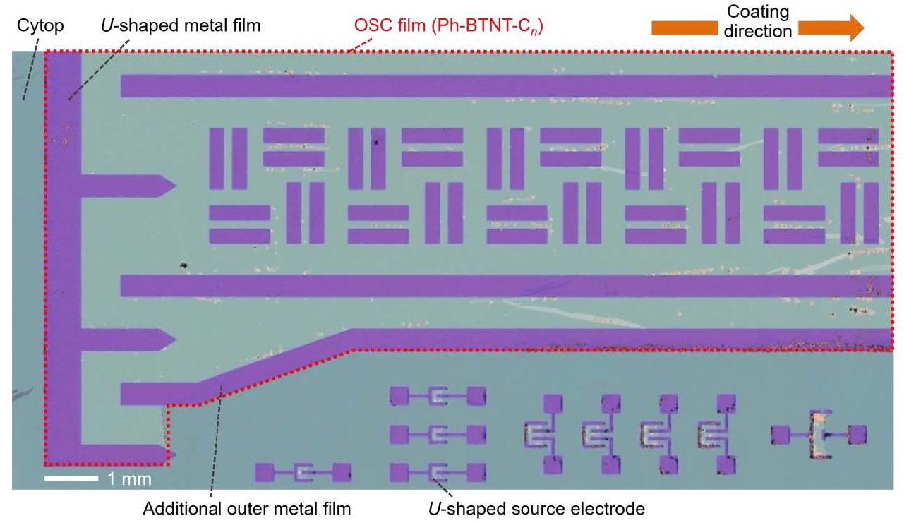 A grid of purple rectangles on a teal background