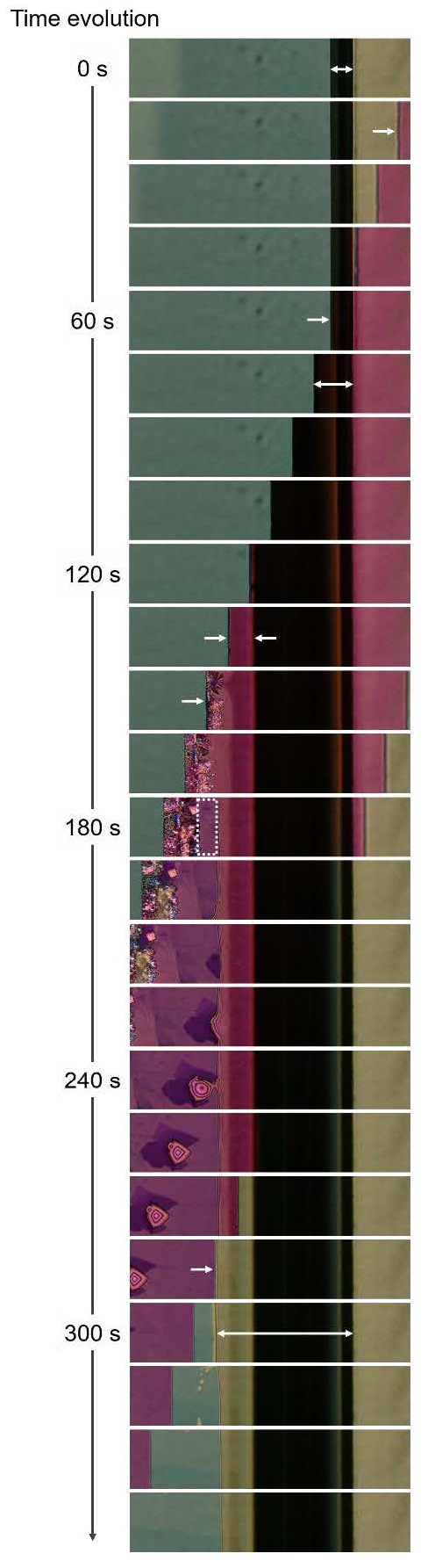 A column of green, red and black rectangles