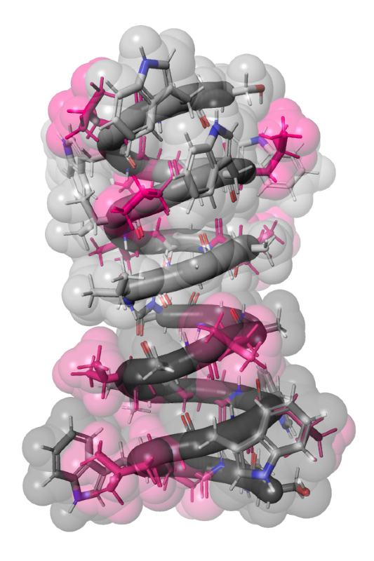 Space filling molecular model of gramicidin A with pink highlights on six amino acids.