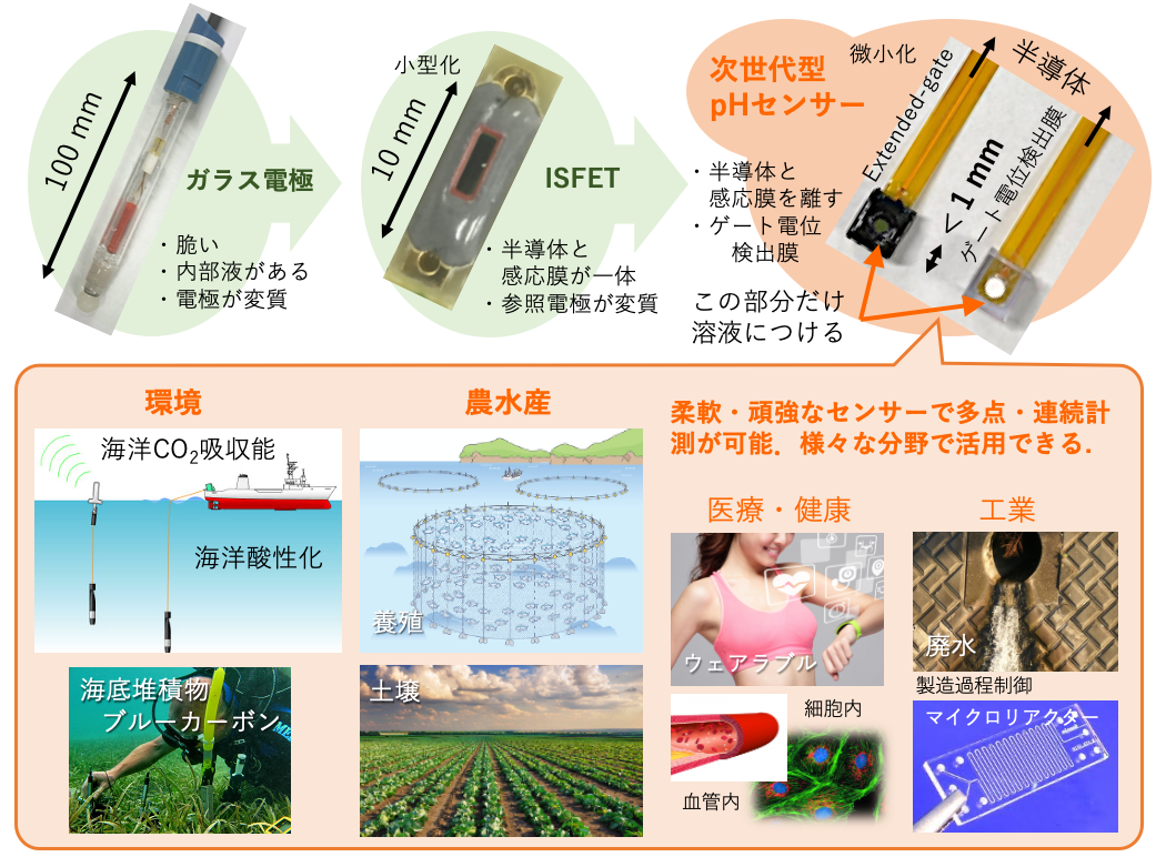 次世代型半導体（ISFET）pHセンサーの開発とその適⽤範囲の広がり．