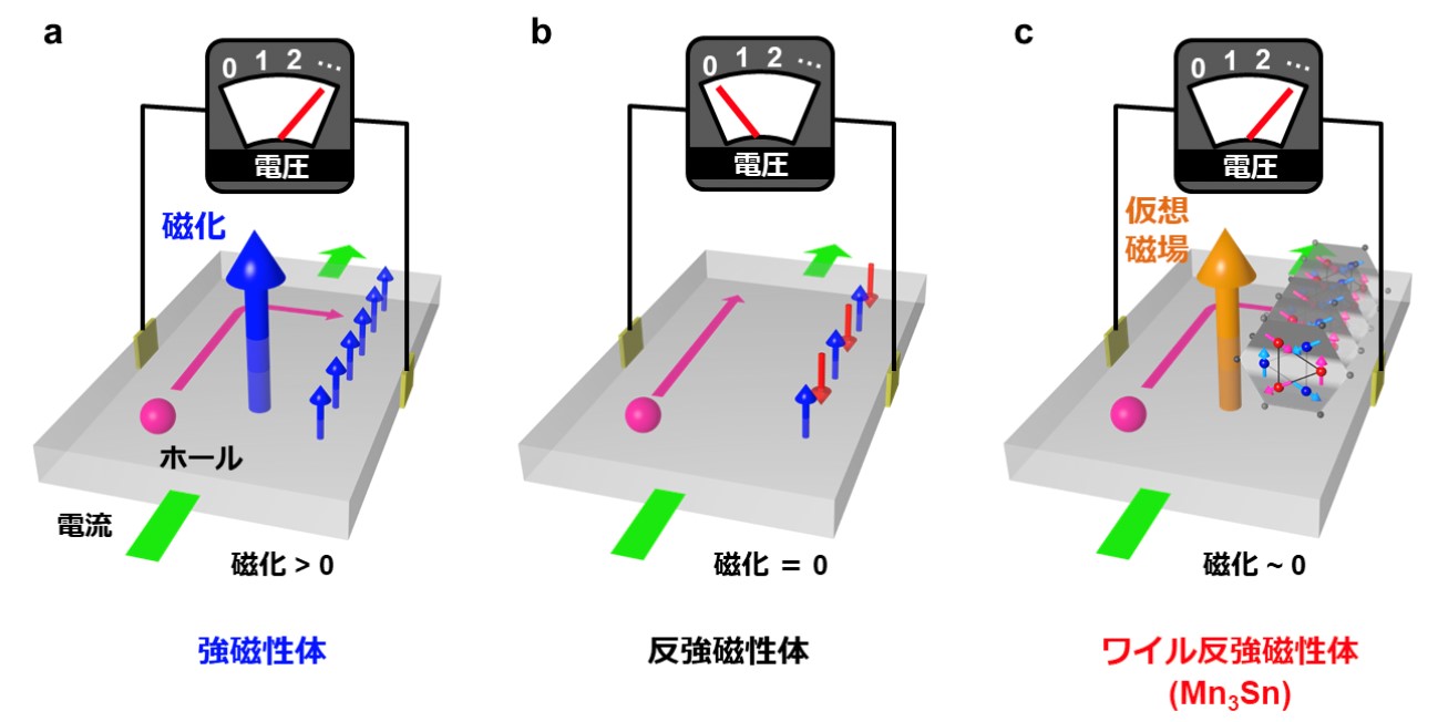 強磁性体(a)と反強磁性体(b)、ワイル反強磁性体Mn3Sn(c)における異常ホール効果。ワイル反強磁性体では、ワイル点が創出する仮想磁場の効果により、強磁性体に匹敵するほど大きな異常ホール効果が現れます。