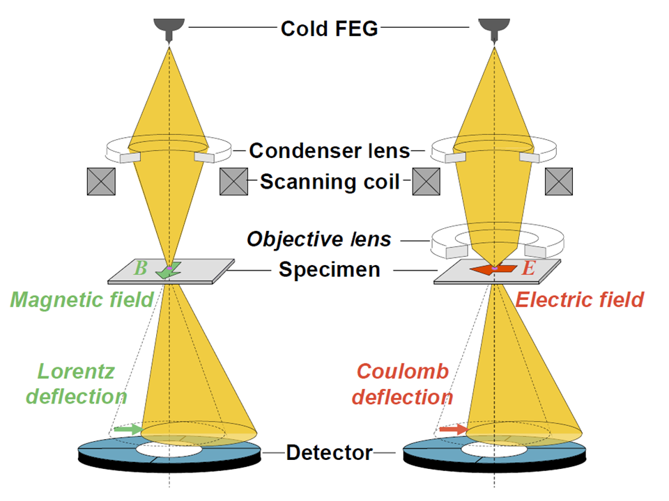Schematic illustration of electromagnetic field imaging STEM