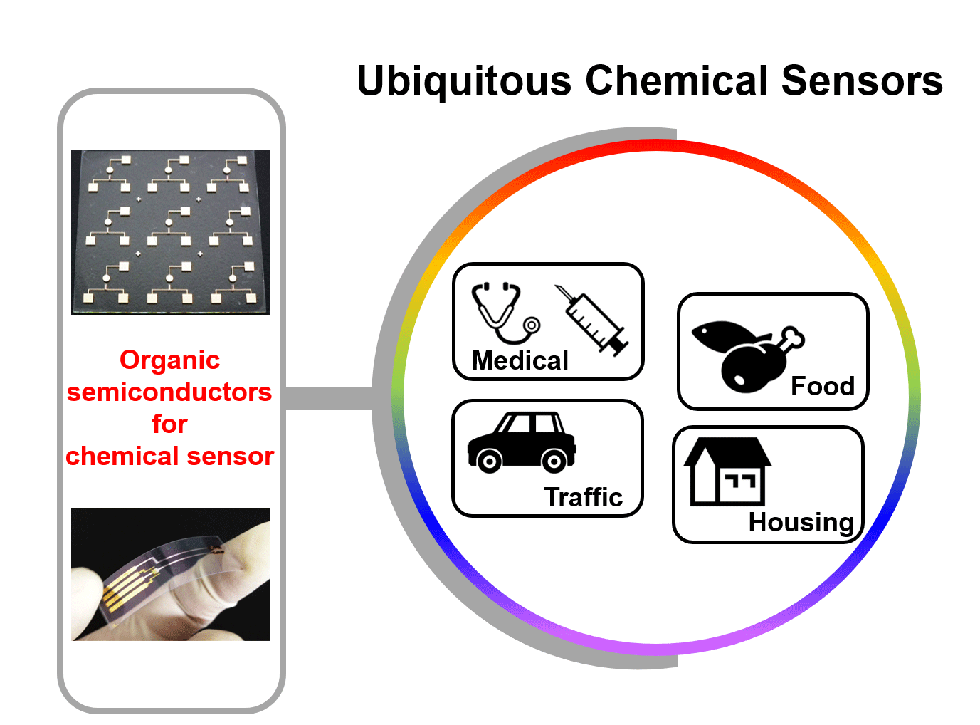 Conceptual overview of the project