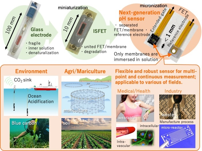 Development of next-generation ISFET pH sensor and its application scope.